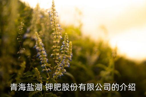 中國啟動對全球最大鉀肥生產商