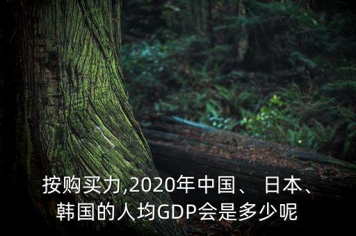 中國經濟日本