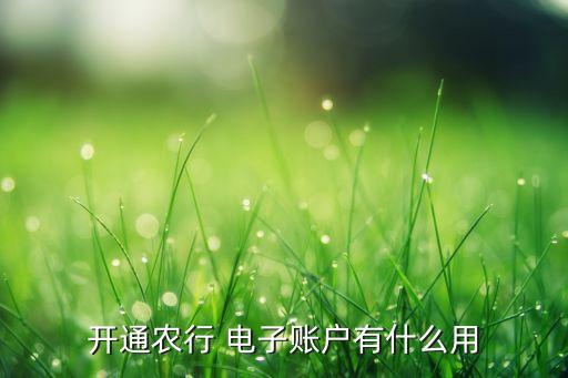 農業(yè)銀行電子銀行業(yè)務