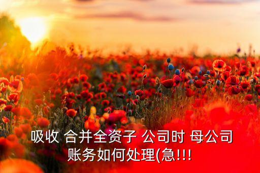  吸收 合并全資子 公司時 母公司賬務(wù)如何處理(急!!!