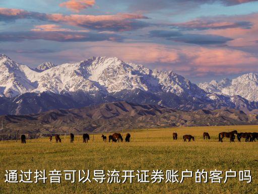 通過(guò)抖音可以導(dǎo)流開證券賬戶的客戶嗎