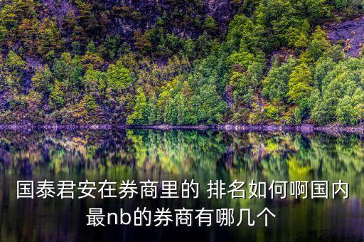 國泰君安在券商里的 排名如何啊國內(nèi)最nb的券商有哪幾個(gè)