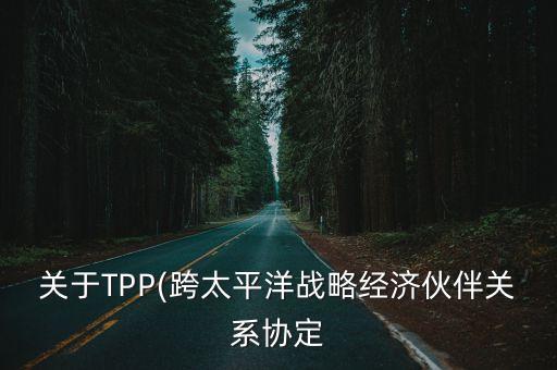 關于TPP(跨太平洋戰(zhàn)略經濟伙伴關系協定