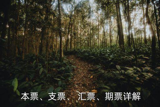  本票、支票、 匯票、期票詳解