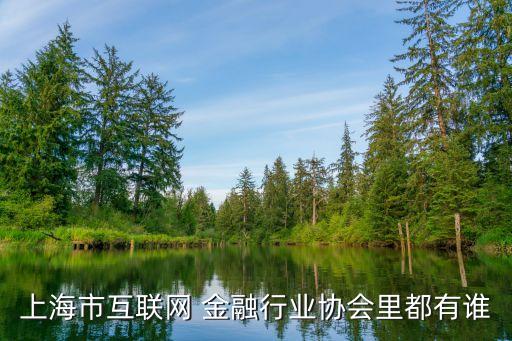 上海市互聯網 金融行業(yè)協會里都有誰