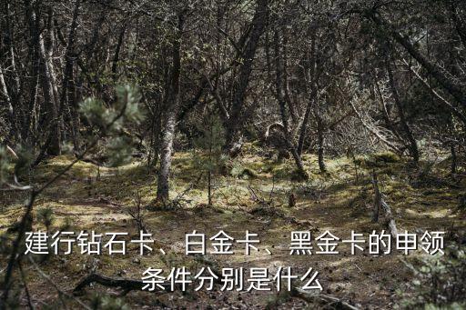  建行鉆石卡、白金卡、黑金卡的申領(lǐng)條件分別是什么
