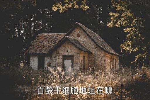 扶余長青生物質能科技有限公司
