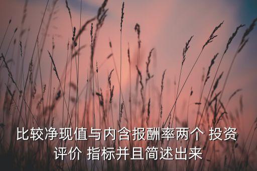 比較凈現(xiàn)值與內(nèi)含報(bào)酬率兩個(gè) 投資 評價(jià) 指標(biāo)并且簡述出來