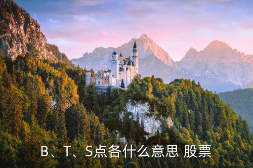 B、T、S點各什么意思 股票