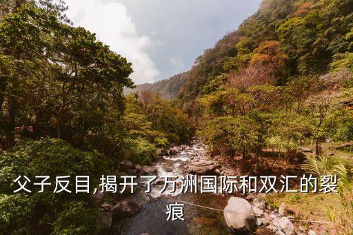 父子反目,揭開了萬洲國(guó)際和雙匯的裂痕