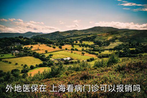 外地醫(yī)保在 上?？床￠T診可以報(bào)銷嗎