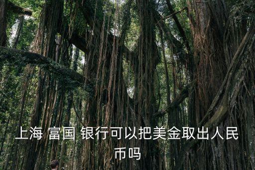 富國銀行業(yè)務,巴菲特 富國銀行