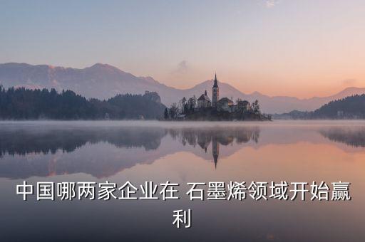 中國(guó)哪兩家企業(yè)在 石墨烯領(lǐng)域開(kāi)始贏(yíng)利