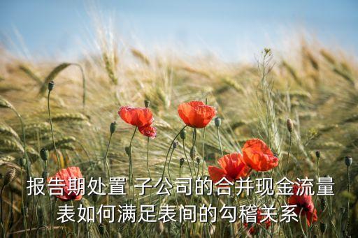  報告期處置 子公司的合并現(xiàn)金流量表如何滿足表間的勾稽關系