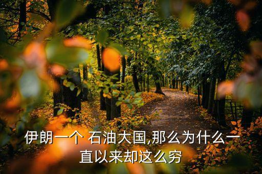 中國(guó)還伊朗石油錢(qián),伊朗石油多少錢(qián)一噸