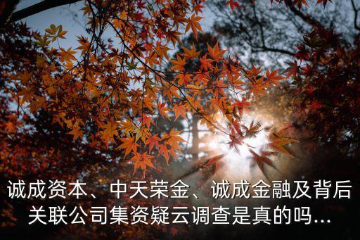 誠(chéng)成資本、中天榮金、誠(chéng)成金融及背后關(guān)聯(lián)公司集資疑云調(diào)查是真的嗎...