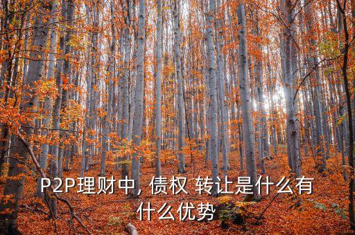 P2P理財中, 債權 轉讓是什么有什么優(yōu)勢