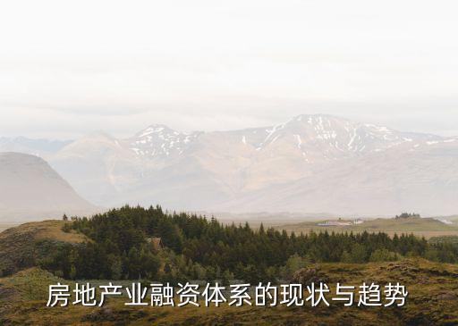 房地產業(yè)融資體系的現狀與趨勢