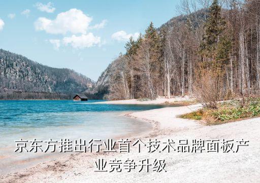  京東方推出行業(yè)首個技術品牌面板產業(yè)競爭升級