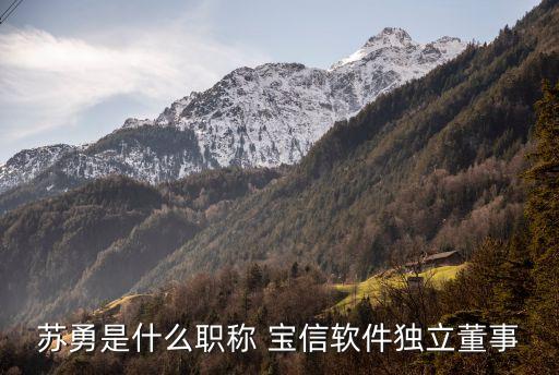 寶信中國掛機(jī),中國寶信集團(tuán)簡(jiǎn)介