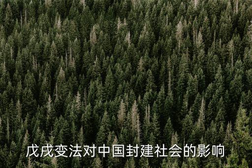 戊戌變法對(duì)中國封建社會(huì)的影響