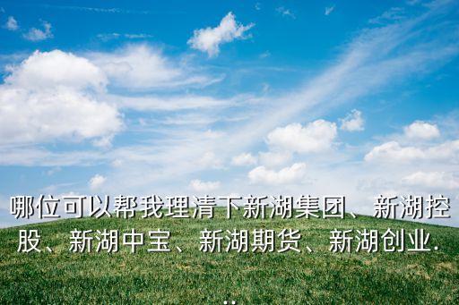 哪位可以幫我理清下新湖集團(tuán)、新湖控股、新湖中寶、新湖期貨、新湖創(chuàng)業(yè)...