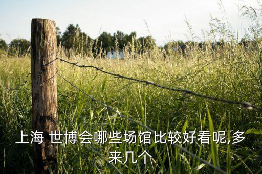 米蘭世博會(huì)中國企業(yè)聯(lián)合館