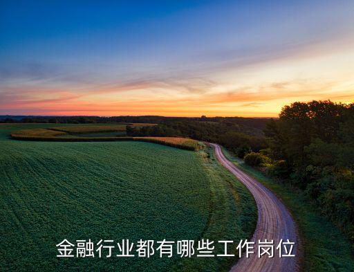國泰君安公司職位構架,公司職位構架圖