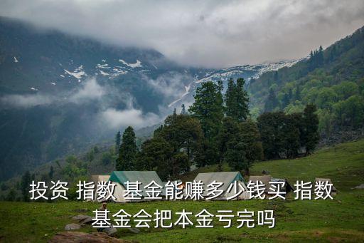 投資 指數(shù) 基金能賺多少錢(qián)買(mǎi) 指數(shù) 基金會(huì)把本金虧完嗎