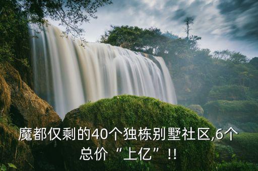 魔都僅剩的40個獨(dú)棟別墅社區(qū),6個總價“上億”!!