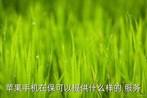 蘋果手機在?？梢蕴峁┦裁礃拥?服務(wù)