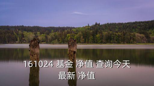 161024 基金 凈值 查詢(xún)今天最新 凈值