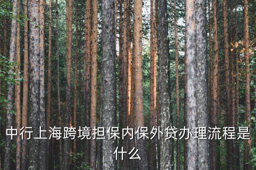 中行上海跨境擔(dān)保內(nèi)保外貸辦理流程是什么