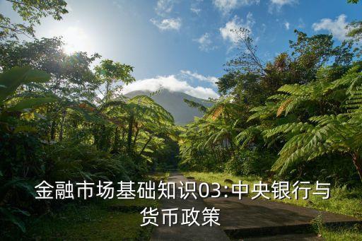 金融性公司存款,不計(jì)入儲備貨幣的金融性公司存款