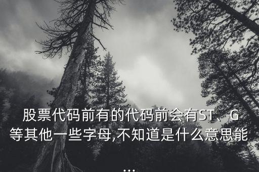  股票代碼前有的代碼前會(huì)有ST、G等其他一些字母,不知道是什么意思能...