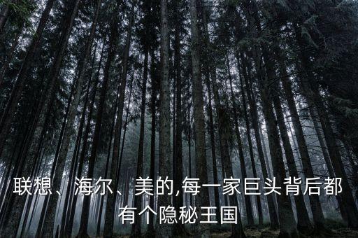 聯(lián)想、海爾、美的,每一家巨頭背后都有個隱秘王國