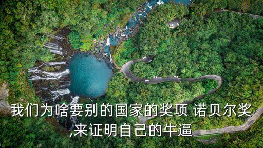 我們?yōu)樯兑獎(jiǎng)e的國(guó)家的獎(jiǎng)項(xiàng) 諾貝爾獎(jiǎng),來(lái)證明自己的牛逼