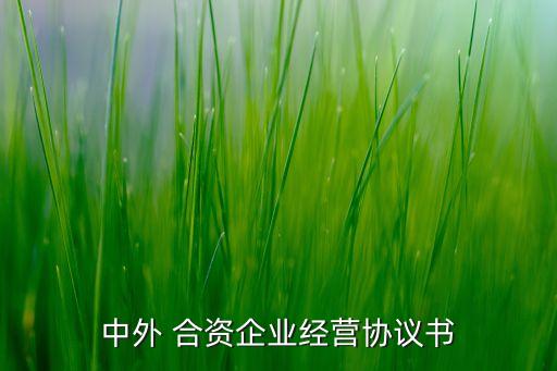 中外 合資企業(yè)經(jīng)營(yíng)協(xié)議書