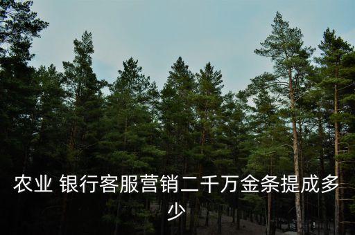銀行客戶經理返利,銀行對公客戶經理年終總結