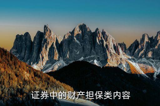  證券中的財產擔保類內容