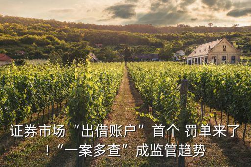 證券市場“出借賬戶”首個(gè) 罰單來了!“一案多查”成監(jiān)管趨勢(shì)