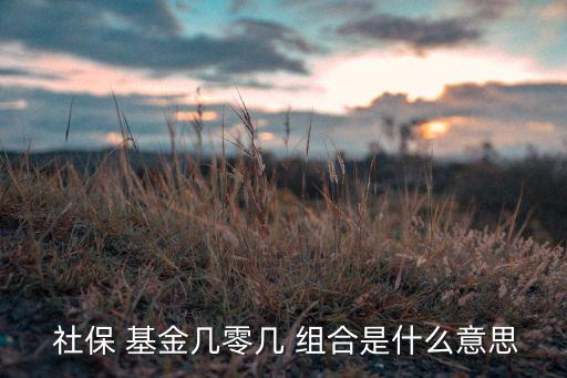 全國社保基金106組合,社?；?06組合牛不牛