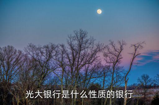 光大銀行是什么性質的銀行