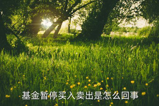  基金暫停買(mǎi)入賣出是怎么回事