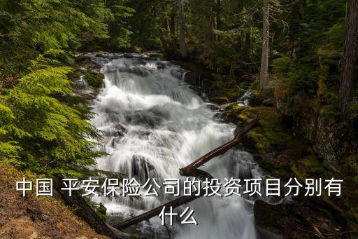 中國 平安保險(xiǎn)公司的投資項(xiàng)目分別有什么