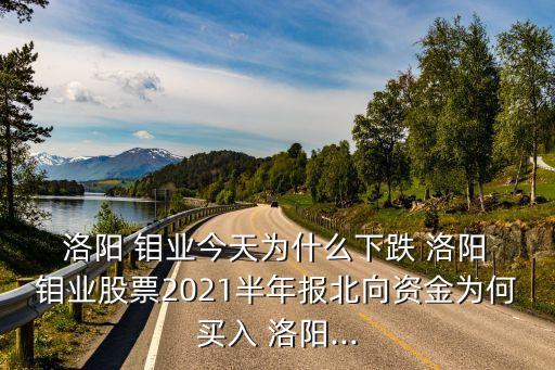 洛陽(yáng) 鉬業(yè)今天為什么下跌 洛陽(yáng) 鉬業(yè)股票2021半年報(bào)北向資金為何買入 洛陽(yáng)...