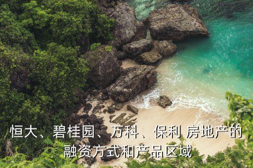 恒大、碧桂園、萬科、保利 房地產(chǎn)的 融資方式和產(chǎn)品區(qū)域