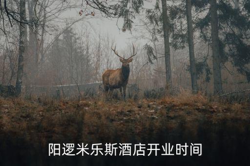 陽(yáng)邏米樂斯酒店開業(yè)時(shí)間