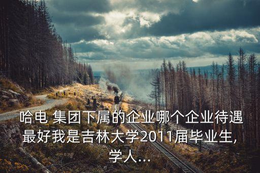  哈電 集團(tuán)下屬的企業(yè)哪個企業(yè)待遇最好我是吉林大學(xué)2011屆畢業(yè)生,學(xué)人...