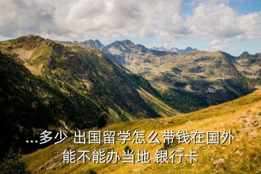 ...多少 出國(guó)留學(xué)怎么帶錢在國(guó)外能不能辦當(dāng)?shù)?銀行卡